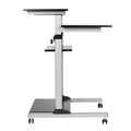 Sit-stand workstation, mobile