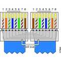 Cisco Rollover console kabel paars 5m