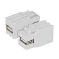 Keystone Adapter USB2.0 wit