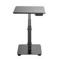 Electric adjustable sitting/standing conference table