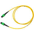 MTP Pro Trunk Cable OS2 12 vezels F-F methode B 30 meter