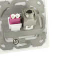 Keystone faceplate for 2 keystone jacks,  pure white