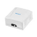Cat.6A Surface Mounted Box 2 x RJ45, shielded