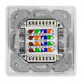 Cat.6A Wall Outlet 2xRJ45 STP, vertical, signal white Ral9003