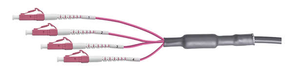Naar omschrijving van FT1U030 - Fiber trunk cable U-DQ(ZN)BH, 4 cores multimode OM4, 30 m, LC/UPC - LC/UPC
